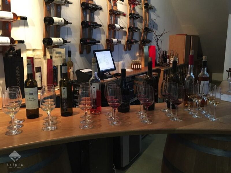 Pico Wine Tour: Get to know Pico's wines - Key Points
