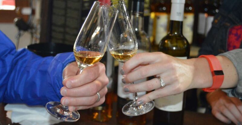 Pico Wine Tour: Get to know Pico's wines - An In-Depth Look at the Pico Wine Tour Experience