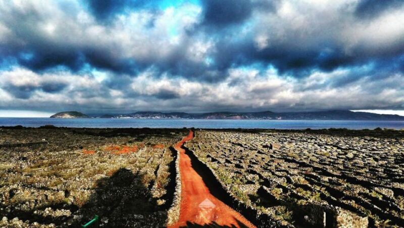 Pico Wine Tour: Get to know Pico's wines - Who Would Enjoy This Tour?