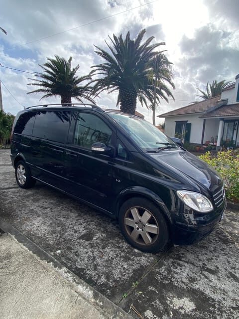 Pico Wine Tours - Who Would Love This Tour?