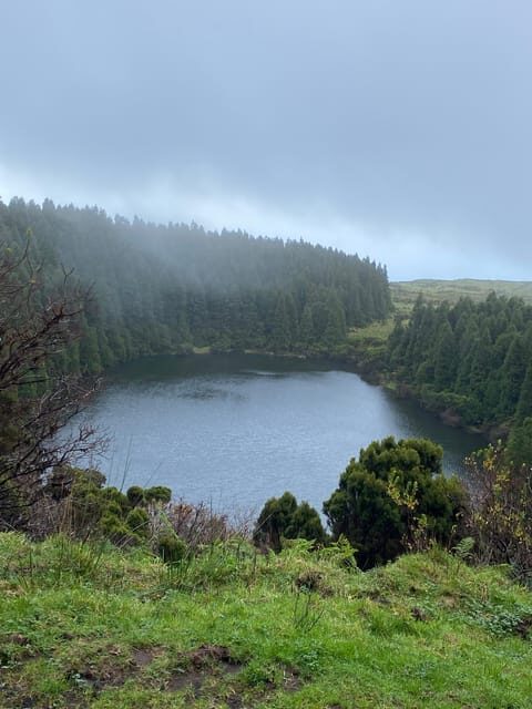 Pico Wine Tours - The Sum Up