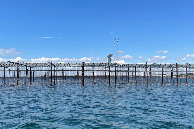 Picpoul de Pinet Tour - Half Day Oysters and Wines - The Sum Up