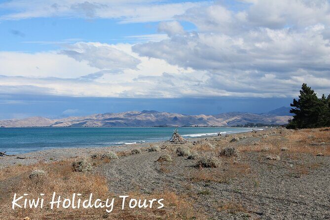 Picton & Blenheim Scenic Tour - What Sets This Tour Apart