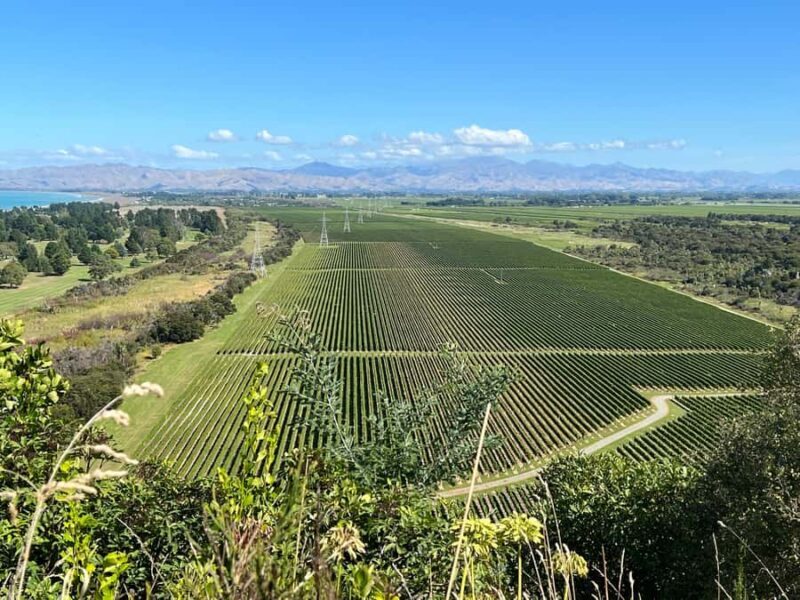 Picton: Private onshore cruise tour scenic, wine, gourmet - A Closer Look at the Experience