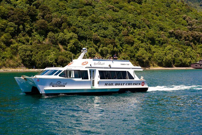 Picton Shore Excursion Kaipupu Sanctuary Water Taxi - An In-Depth Review of the Experience