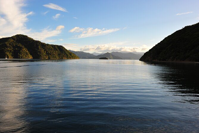 Picton Shore Excursion Queen Charlotte Sound Cruise - Who Will Love This Cruise?