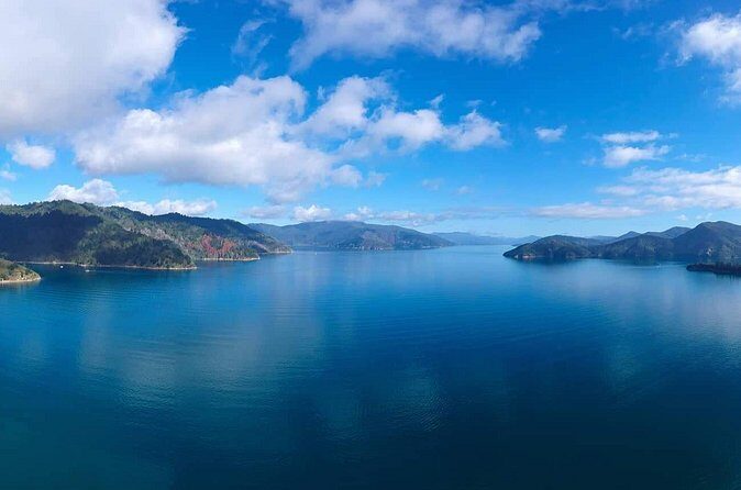 Picton Shore Excursion Queen Charlotte Sound Cruise - FAQ