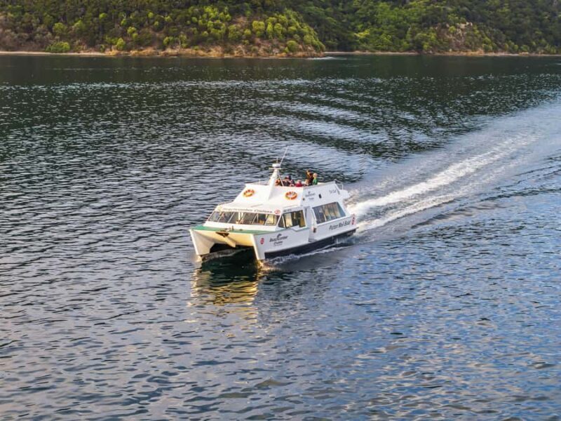 Picton Shore Excursion: Queen Charlotte Sounds Cruise - Key Points