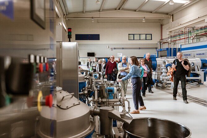 Picualia, visit the oil mill & EVOO tasting - The Experience in Detail