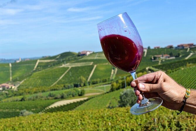 Piemonte Vineyards by Yourself from Turin - Business Car with English Chauffeur - Key Points