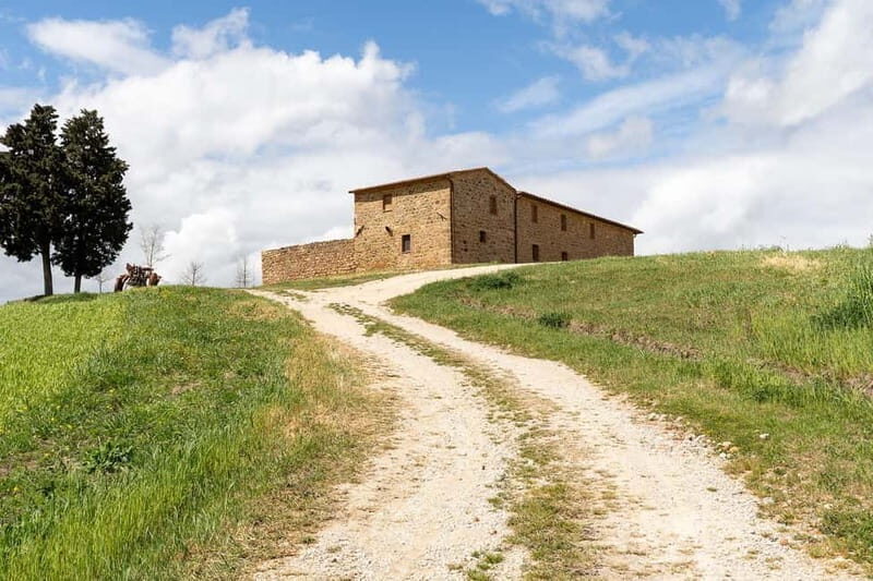 Pienza: guided tasting of Orcia DOC wine and organic EVO oil - Key Points
