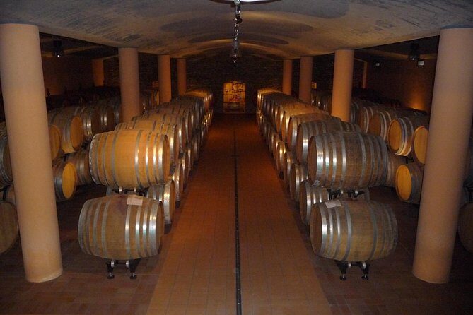 Pienza, Montalcino, Brunello Wine and Pecorino Cheese PRIVATE TOUR from FLORENCE - Reviews and Authentic Insights