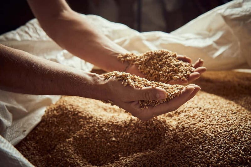 Pienza: tour of the mill with oil and wine tasting - Final Thoughts