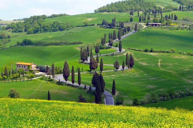 Pienza, Val d'Orcia, Montalcino wine and Pecorino cheese PRIVATE TOUR from SIENA - A Close Look at the Experience