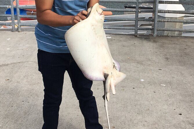 Pier Fishing Tour - San Diego - Why This Tour Could Be Perfect for You