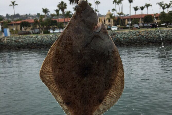 Pier Fishing Tour - San Diego - FAQ