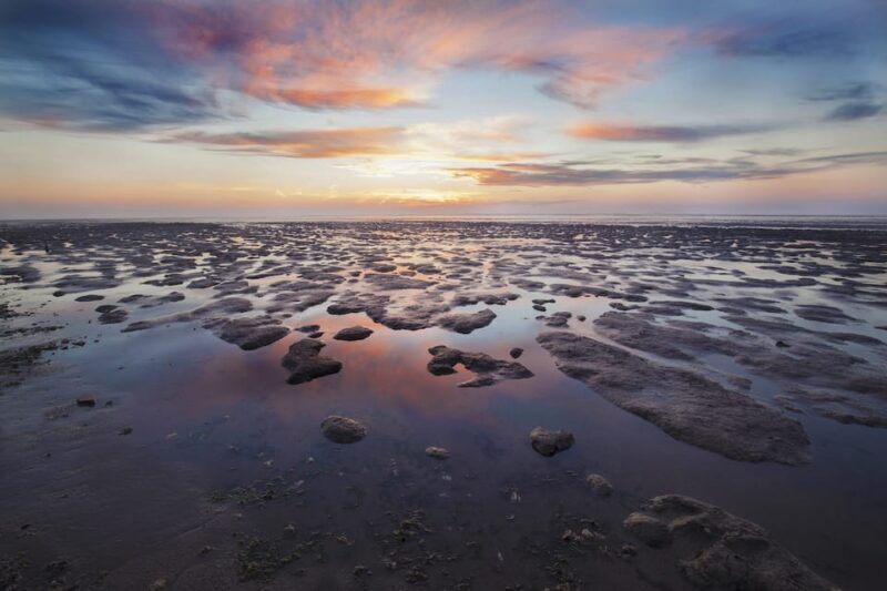 Pieterburen: Wadden Sea Mudflats Guided Walking Tour - Key Points