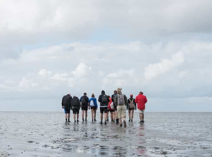 Pieterburen: Wadden Sea Mudflats Guided Walking Tour - What to Expect from the Tour