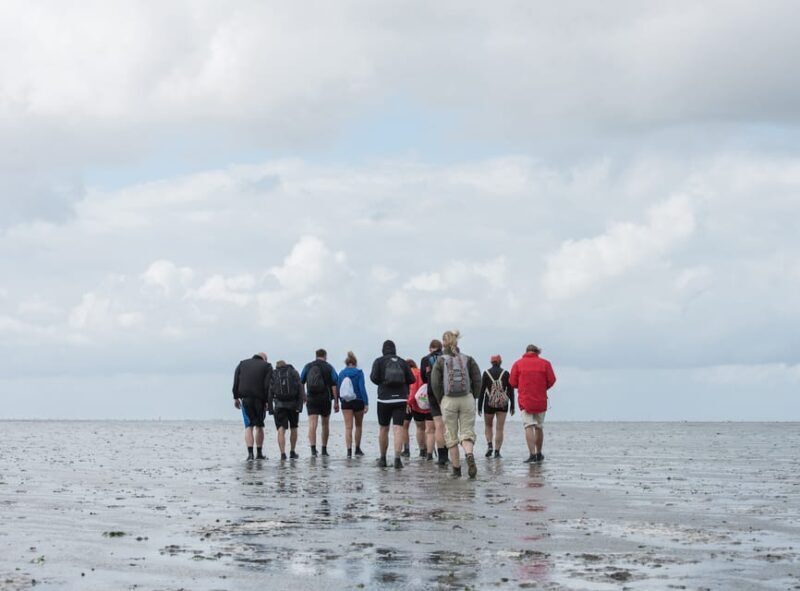 Pieterburen: Wadden Sea Mudflats Guided Walking Tour - Practical Tips for Your Mudflat Walk