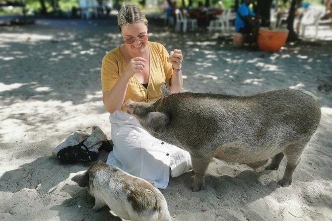 Pig Feeding, Kayaking, Snorkeling Trip at Pig Island By Speedboat From Koh Samui - A Deep Dive into the Tour