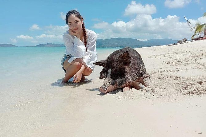 Pig Island Snorkeling & Sightseeing Tour By Speedboat From Koh Samui - Final Thoughts