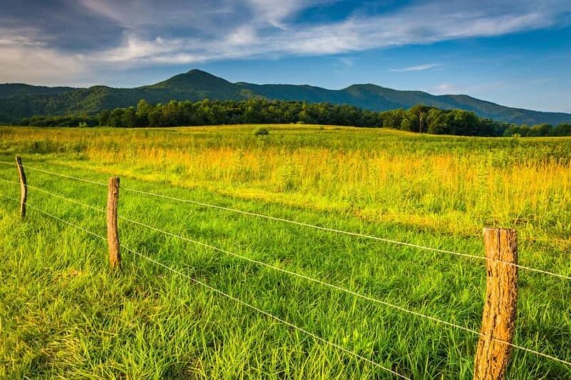 Pigeon Forge: Cade's Cove Culture and History Driving Tour - Key Points