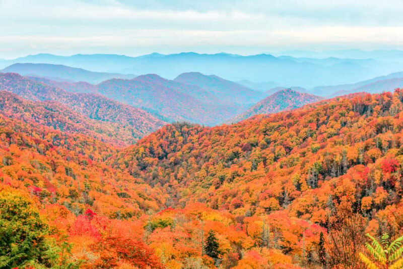 Pigeon Forge: Cade's Cove Culture and History Driving Tour - An In-Depth Look at the Cade’s Cove Driving Tour