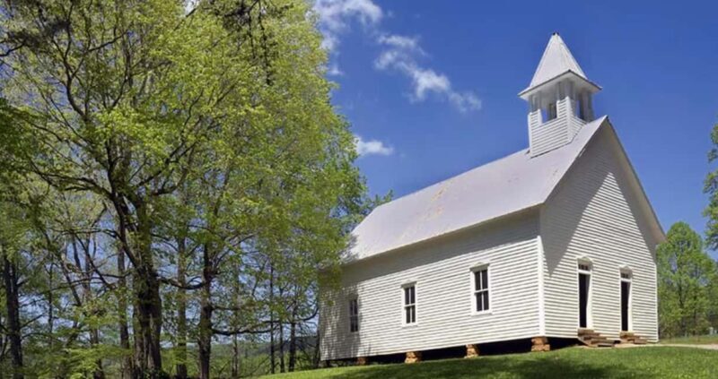 Pigeon Forge: Cades Cove Tour in a Pink Panorama Van - Who Will Enjoy This Tour?