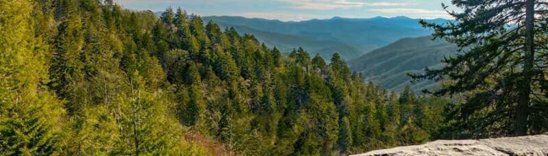 Pigeon Forge: Newfound Gap and Smoky Mountains Jeep Tour - Final Thoughts