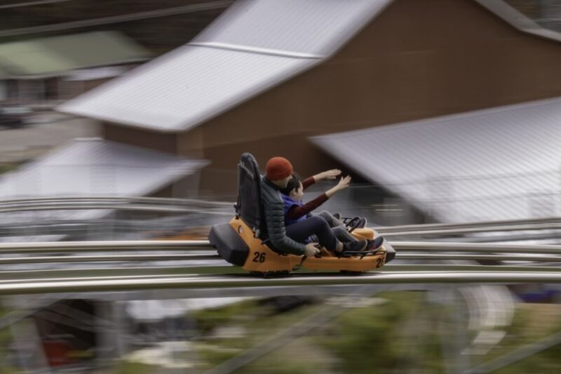 Pigeon Forge: Rocky Top Mountain Coaster Ride - Who Will Love This Experience?