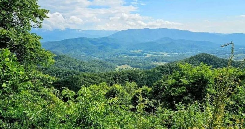 Pigeon Forge: Smoky Bear Discovery Tour - Exploring the Smoky Bear Discovery Tour