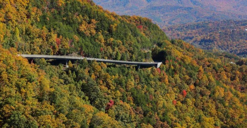 Pigeon Forge: Wears Valley Helicopter Tour - The Practicalities and What You Should Know