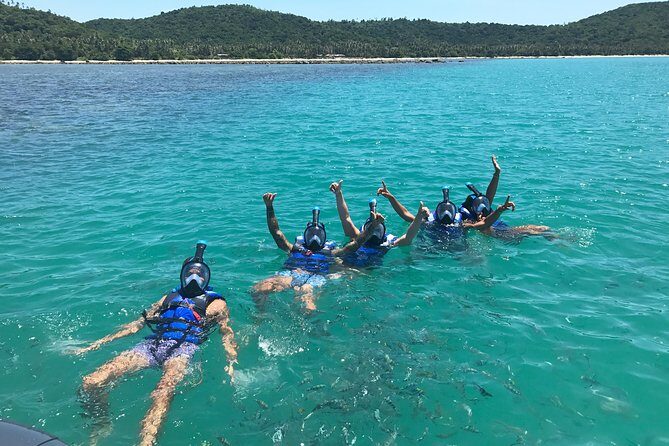 Pigs Island exclusive Semi VIP - What You Can Expect from the Tour