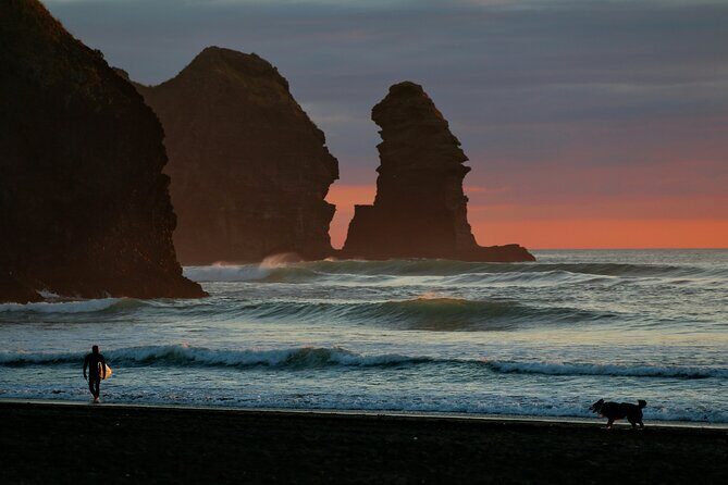 Piha Beach & Wilderness Nature : PRIVATE TOUR 8 hrs - A Deep Dive into the Tour Experience