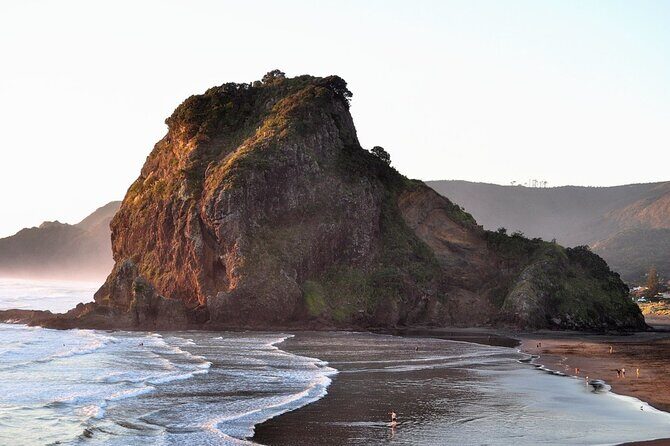 Piha Beach & Wilderness Nature : PRIVATE TOUR 8 hrs - Who Should Consider This Tour?
