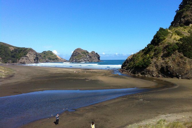 Piha Waitakere Rainforest Wine Tour from Auckland - Why Travelers Love This Tour