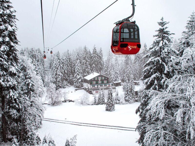 Pilatus & Lucerne with Cruise Private Day Trip - A Complete Look at the Experience