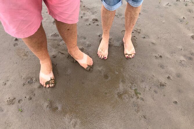 Pilgrims' Path walk across the sands to Holy Island - Key Points