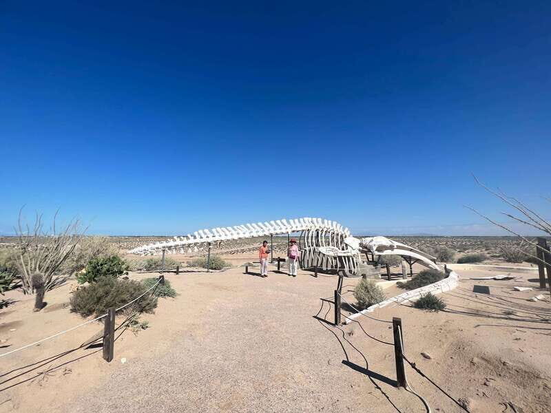 Pinacate: 3-day tour to the craters and surrounding towns - What Makes This Tour Stand Out