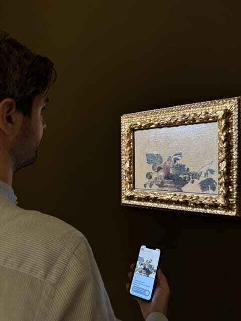 Pinacoteca Ambrosiana audioguide - Who should consider this tour?