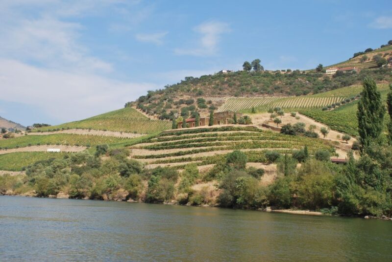 Pinhão: 2-Hour Rabelo Boat Tour with Audio Guide - Introduction