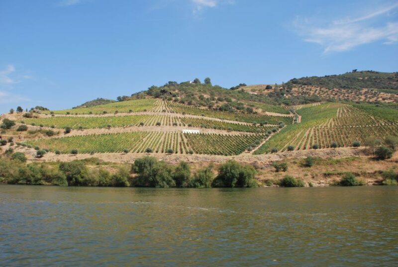 Pinhão: 2-Hour Rabelo Boat Tour with Audio Guide - Key Points