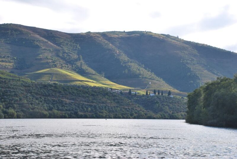 Pinhão: 2-Hour Rabelo Boat Tour with Audio Guide - FAQ