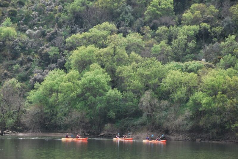 Pinhão: 4 Hour Douro Valley Kayak Rental - Key Points