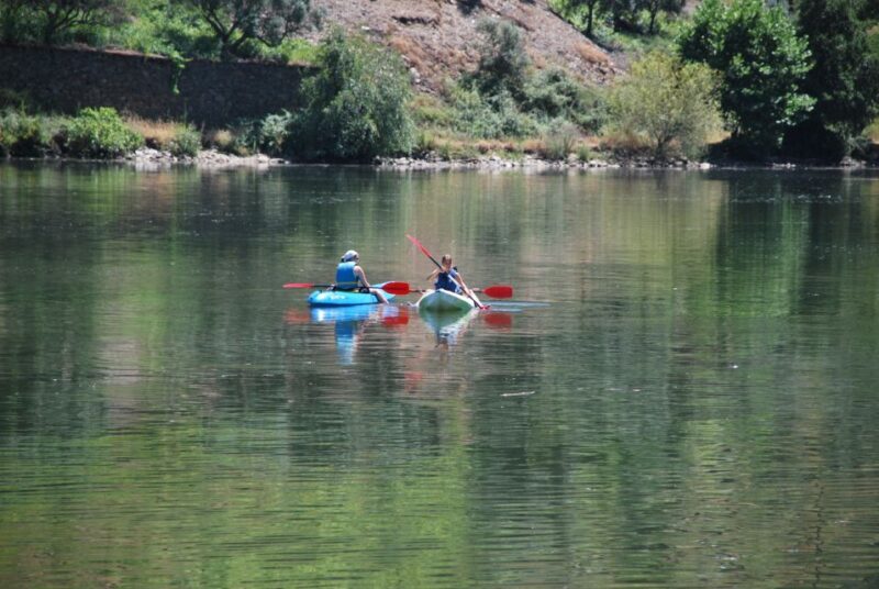 Pinhão: 4 Hour Douro Valley Kayak Rental - Starting Point and Logistics