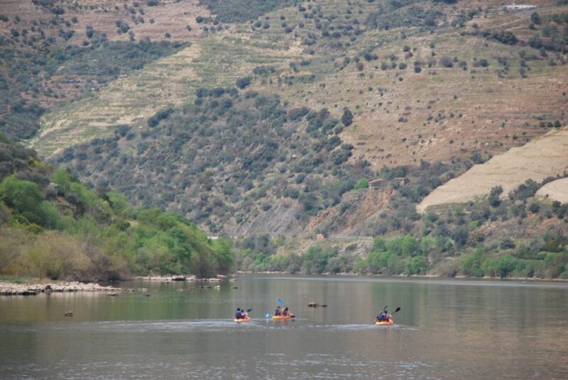 Pinhão: 4 Hour Douro Valley Kayak Rental - Taking Breaks and Enjoying the Sights