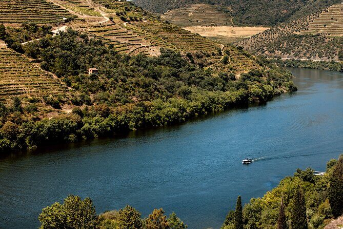 Pinhão: 4 hours Douro River Cruise with Lunch Included - Final Thoughts: Is This Tour Worth It?