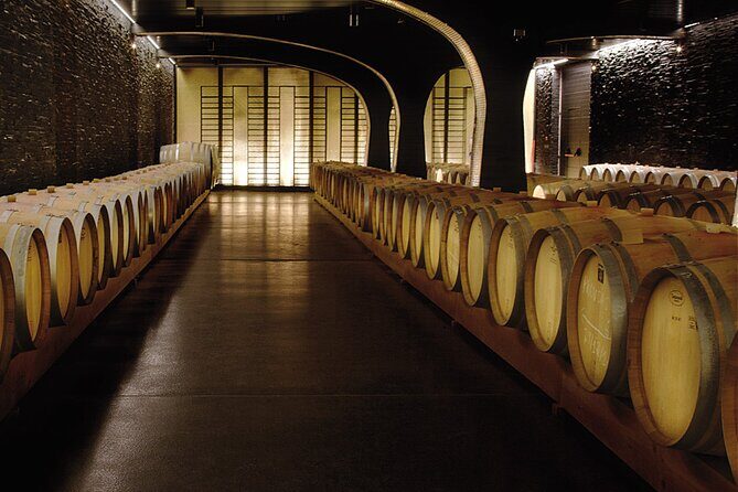 Pinhão Boat, lunch&wine tour - An Authentic Day on the Douro: Pinhão Boat, Lunch & Wine Tour Review