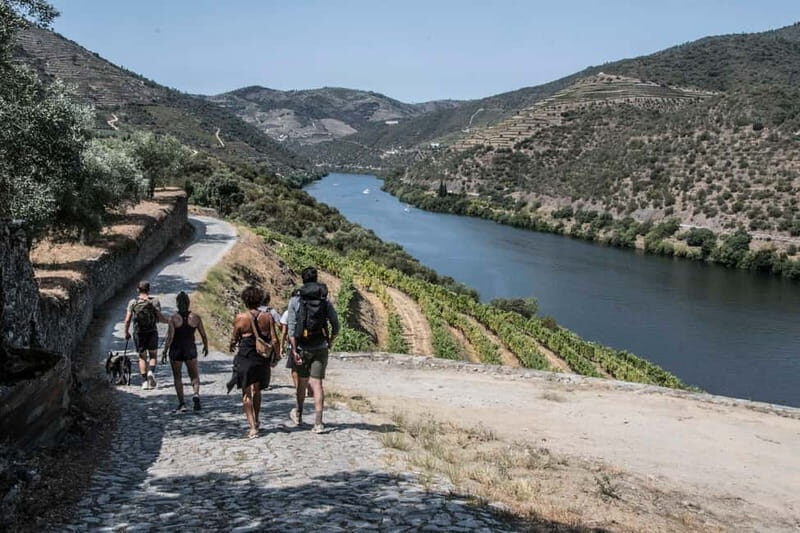 Pinhão: Douro Valley Guided Hike - Discovering the Douro Valley on Foot: A Detailed Review of the Pinhão Guided Hike