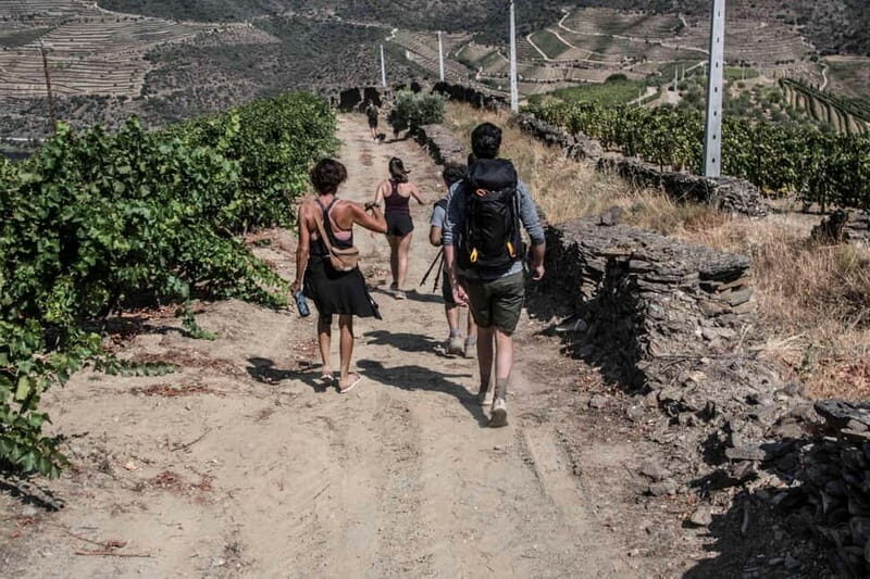 Pinhão: Douro Valley Guided Hike - Key Points